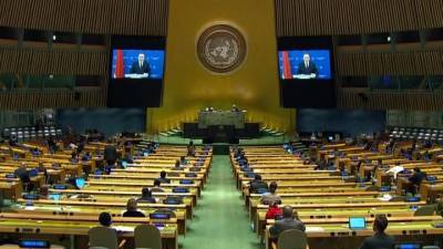 Выступление Белоруссии в ООН: глава МИД о цветной революции в стране