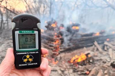 Украина грозит миру «вторым Чернобылем» — экс-депутат Рады