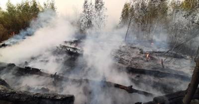Бушующий под Воронежем природный пожар подбирается к двум СНТ