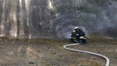 Спасатели тушат природный пожар в Воронежской области на площади 50 га