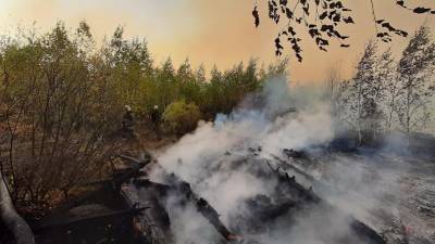 Под Воронежем масштабный ландшафтный пожар подошел к дачным поселкам