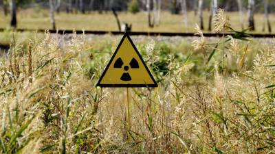 Экс-депутат Рады заявил о возможности «повторения Чернобыля»