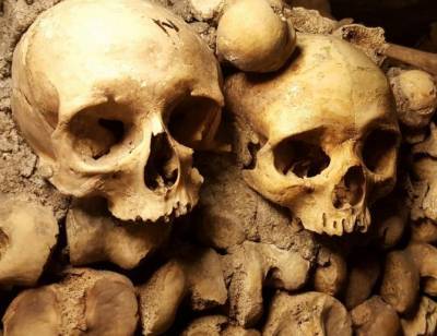 В Испании найдены человеческие черепа жертвоприношения эпохи неолита