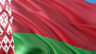 МИД Белоруссии рассказал, кто будет решать судьбу республики