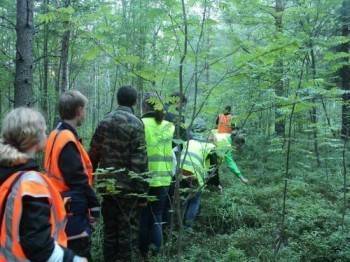 Обессилевшую жительницу Грязовецкого района через дня дня нашли в лесу