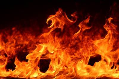 В Балашихе в пожаре погибли три человека