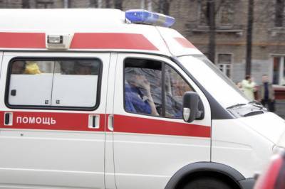 В Приморском крае при столкновении с грузовиком погиб водитель и пострадали двое детей