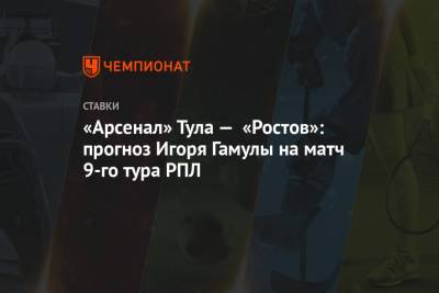 «Арсенал» Тула — «Ростов»: прогноз Игоря Гамулы на матч 9-го тура РПЛ
