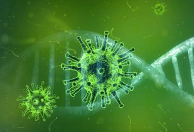 В России за сутки выявили 7867 новых случая коронавируса