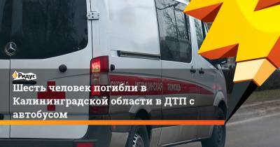 Шесть человек погибли в Калининградской области в ДТП с автобусом