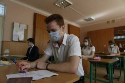В России на дистанционный формат перевели 95 школ