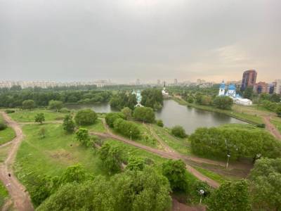 В Пулковском парке пройдет акция против вырубки деревьев