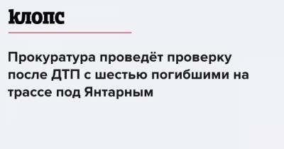 Прокуратура проведёт проверку после ДТП с шестью погибшими на трассе под Янтарным