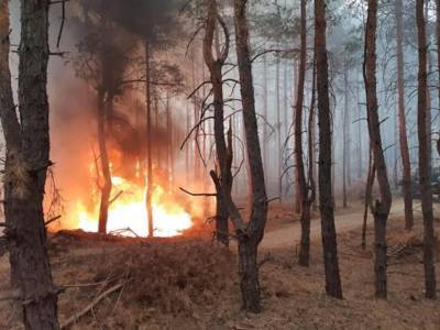 Под Днепром горит лес