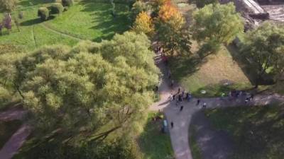 Горожане собрались обнять участок леса у Пулковского парка