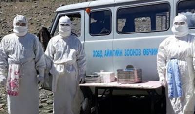 В Монголии вблизи российской границы выявили новый случай чумы