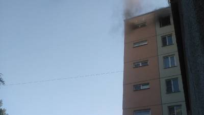 Спасители потушили пожар в девятиэтажке на юге Петербурга