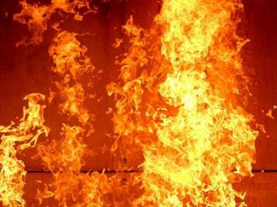 Под Киевом вспыхнул мощный пожар в жилом доме