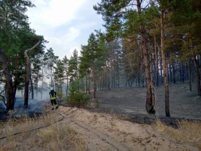 В Луганской области снова горит лес