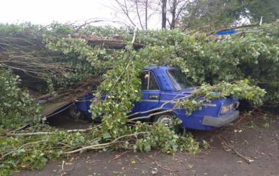 Херсонской областью пронесся ураган, повреждены здания