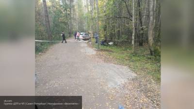 Очевидец показал работу правоохранителей в парке Сосновка