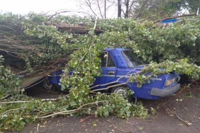 В Херсонской области ураган повредил более 30 домов и оставил поселок без света