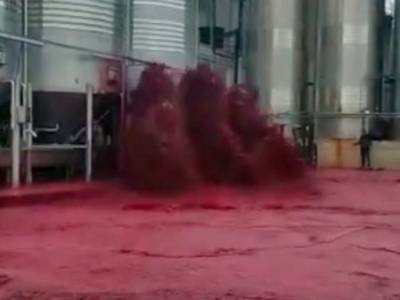 50 тыс. литров. В Испании затопило красным вином целый завод: видео