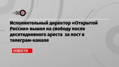 Исполнительный директор «Открытой России» вышел на свободу после десятидневного ареста за пост в телеграм-канале