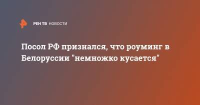 Посол РФ признался, что роуминг в Белоруссии "немножко кусается"