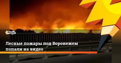 Лесные пожары под Воронежем попали на видео