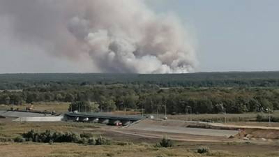 МЧС рассказало о ходе тушения природных пожаров в Воронежской области