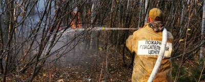 Сергей Носов - Лесной пожар около Магадана удалось ликвидировать - runews24.ru - Магадан - Колымы