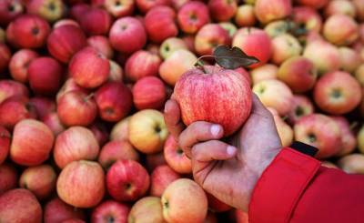 17 потрясающих рецептов с яблоками: от пирога «тарт татен» до поджаренного бекона (The Guardian, Великобритания) - inosmi.ru - Англия