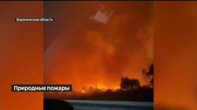 В Воронежской области бушуют мощные природные пожары