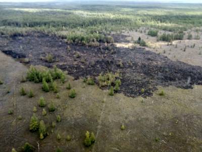 25 сентября на Сахалине горел лес