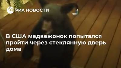В США медвежонок попытался пройти через стеклянную дверь дома - ria.ru - Москва - США - шт. Колорадо