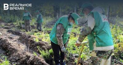 За день в Татарстане посадили более миллиона деревьев