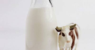 Доля сырого молока в продажах сельхозпродукции через БУТБ превысила 12 %