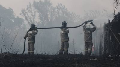 Крупный пожар в воронежском райцентре разросся в 8,5 раз