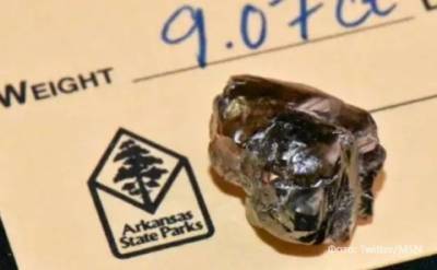 В Национальном парке в США обнаружили «стекляшку», которая оказалась алмазом 9,07 карата (ФОТО)