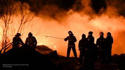 Пожар стал причиной введения режима ЧС в двух поселениях под Воронежем