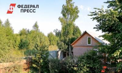 В Красноярском крае 30 млн рублей направили на гранты садоводам