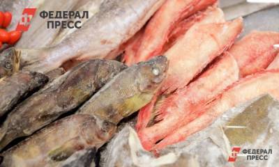 В Приморье выловили 660 тысяч тонн рыбы и кальмара