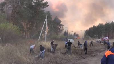 Мощные природные пожары в Воронежской области сняли на видео