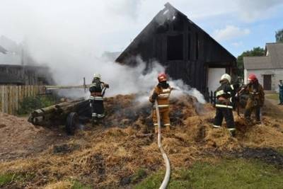 В хуторе Ростовской области сгорело около пяти тонн сена