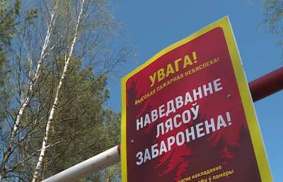 В 37 районах Беларуси действуют запреты и ограничения на посещение лесов