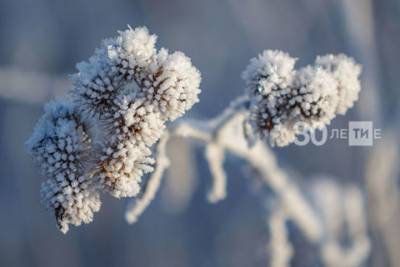 Синоптики Татарстана дали метеопрогноз на предстоящую зиму