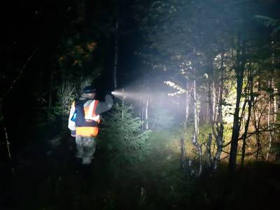 В Смоленске нашли 79-летнего мужчину, заблудившегося в лесу