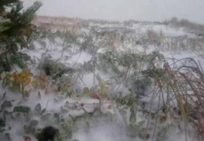 В Карпатах выпал первый снег (фото)