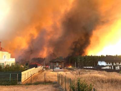 В России тушат крупный лесной пожар: горит 130 гектаров земли